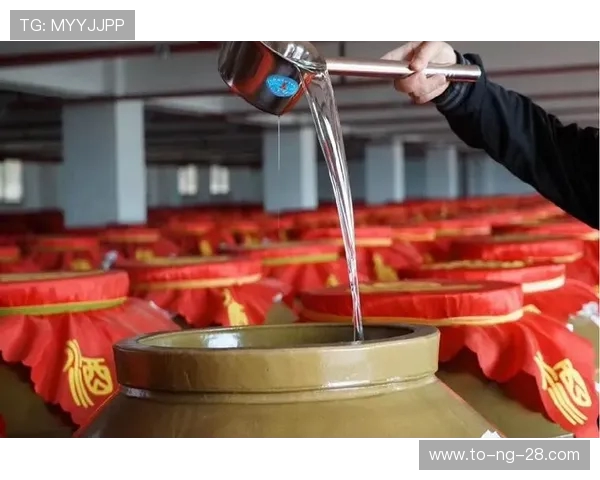 南京头排苏酒引领江淮风味传承展现中华白酒独特魅力