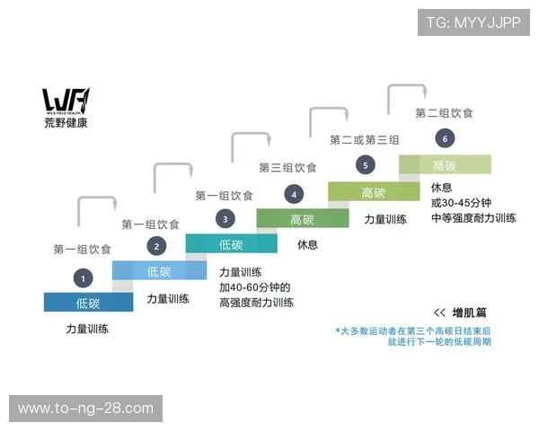 科学健身全指南打造高效训练计划助你塑造理想体型与健康生活