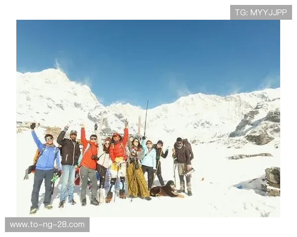 南京极限运动队的拼搏之路与青春热血的真实记录