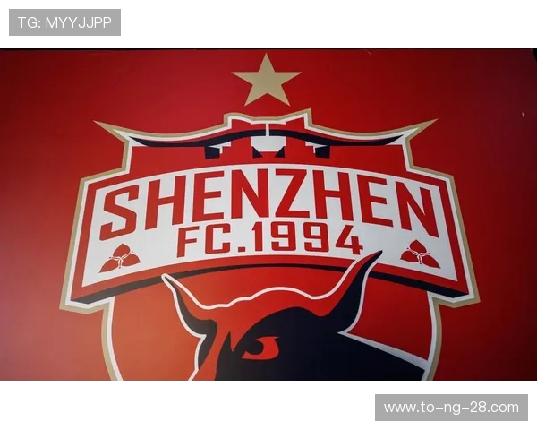 武汉乒乓球队重塑辉煌之路的反击革新与未来展望