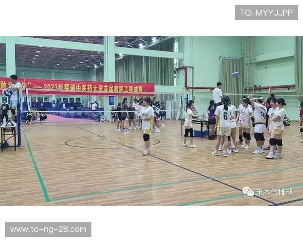 赛后分析：上海与南京排球队的团队协作与战术执行探讨