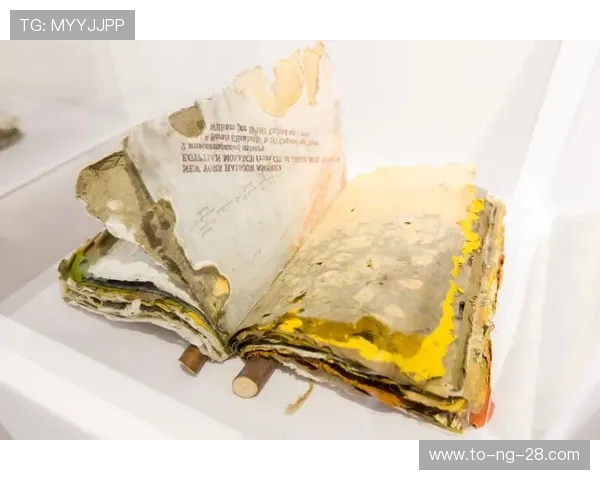 加莱诺的艺术魅力与文化传承探讨：从历史到现代的深度解读